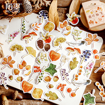Autumn leaves material boxed stickers kindergarten growth manual baby album hand copy tabloid decorative stickers material