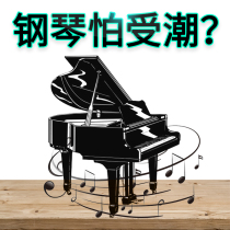 Piano guitar desiccant instrument special moisture-proof dehumidification insect-proof mold-proof package moisture-absorbing camera color-changing silicone dehumidification