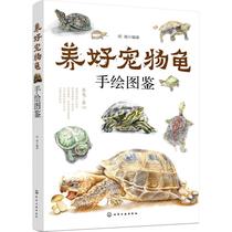 Raise a pet turtle hand-painted picture book Hu Hai living and leisure