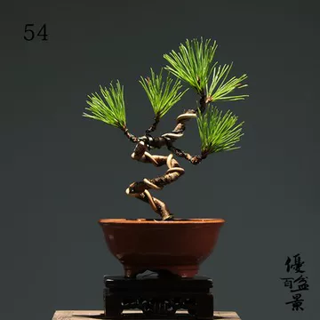 悬崖式黑松盆景-悬崖式黑松盆景促销价格、悬崖式黑松盆景品牌- 淘宝