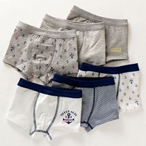 Pure cotton boys four-corner underwear boneless stitched cotton thin stretch small in large childrens clothes boys and childrens boxer panties