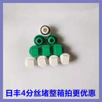 Guangdong Foshan Rifeng PPR pipe fittings fittings Water pipe household 20 (4 points)wire plug plug white green