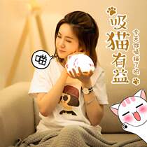 Colorful cat silicone night light Pat childrens bedside bedroom companion sleeping light Remote control atmosphere light Creative gifts Romantic atmosphere shimmer breathing light Send girls gifts Dream girl heart
