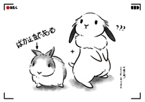 (Xiaoyu Group) DCA dotes 3