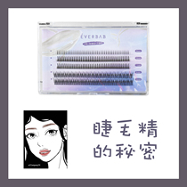 Sensuo wool tail wool mixed clothing everbab single tuft False Eyelash Sectional mix Natural 200 Dot