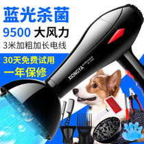 Dog Hair Dryer Lafur God Instrumental Speed Dry Pet Large Dog Special Bath Lahair Integrated High Power Pet Dog