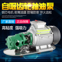 WCB small stainless steel self-priming gear oil pump 220V hydraulic oil pump diesel pump edible oil pump edible oil pump
