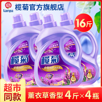 Lam Ju Kang detergent detergent fragrance lasting lavender fragrance home home promotion combination hand wash machine wash