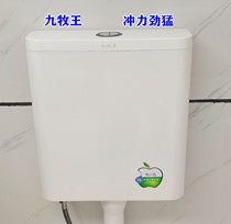 Toilet JOEONE squat urinal energy-saving water tank Toilet potty flushing water tank New material environmental protection energy-saving pumping water tank
