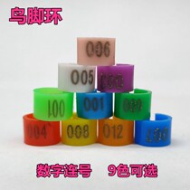 Bird ring Opening ring Bird supplies Budgerigar starling turtledove Xuan Feng foot ring Plastic identification ring Bird foot ring