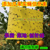 Create step double-sided melons fruit flies viscose plates yellow orchards sticky worms citrus fruit flies needles Bee sticky fly balls