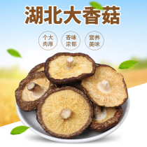  Big Shiitake mushroom dry goods Premium dried shiitake mushroom 500g New wild mushroom Shiitake mushroom rootless local mountain goods