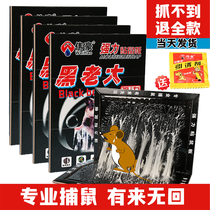 Black boss sticky mouse board mouse sticky strong adhesive Big Mouse home thick super catch big mouse paste