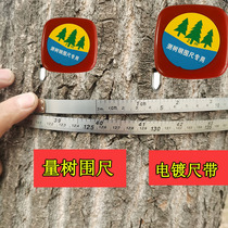 Measuring tree ruler garden ruler special tree diameter mini tape ruler 2 meters stainless steel Wood ruler