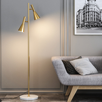 Floor lamp Living room simple modern sofa side bedroom Creative Nordic net Red light luxury adjustable vertical table lamp