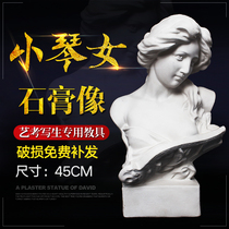 Bai painting art Xiaoqin female plaster figure head sculpture plaster still life sketch painting art teaching materials