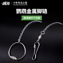 Xuanfeng Tiger Leather Peony Feet Ring Bird Rack Stand Bracelet With Bird Rope Supplies Ultra Light Stainless Steel Parrot Foot Chain Not Injury Foot