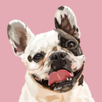 Pet cat dog cartoon cute portrait custom oil painting wind head design electronic version HD big picture