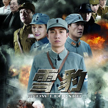 Anti-Japanese War TV series disc Snow Leopard DVD disc Car DVD disc Complete set Yu Zhen article