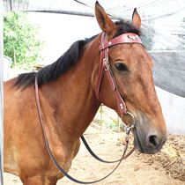 Bridle head Bridle cover comes with chew water music Malone set Lead horse training Malone head Full set of equestrian harness supplies