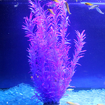 Artificial water plants fish tank decorative landscaping plastic water plants Fake flowers Soft thin strips large purple green high water plants
