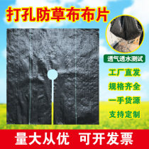 Grass control cloth Fruit tree weeding cloth Perforated orchard cutting sheet leaflet cover grass cloth Floor cloth Cover grass cloth Open grass suppression cloth