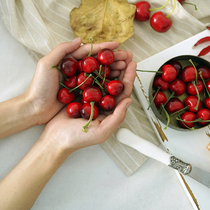 Simulation cherries small cherry model juice shop window display props food photography simulation fruit ornaments