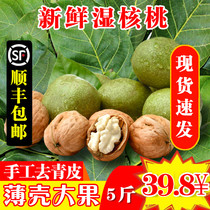 2021 fresh green skin wet walnut thin skin tender spot with green skin green skin pregnant women new spades Shunfeng