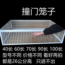 The Letter Dove Sky Fall Cage encryption only doesnt get out of the pigeon cage Field Pigeon Cage is active and crashed into the door cage to catch the pigeon trap cage