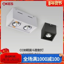 Aokus LED spotlights square light downlights household living room bucket gall lights no main lights commercial double-head grille lights