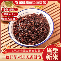 Three-color germ rice new rice 5kg black rice coarse grain pregnant women sugar staple food fat reduction brown rice fitness grain rice fitness grain rice