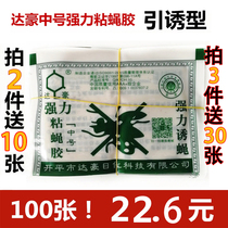 Dachau fly patch M strong attractant fly fly paper fly fly glue destroy flies 100 fly board