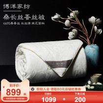 Boyang silk quilt 100% mulberry silk Great jacquard winter Spring and autumn quilt by silk floss quilt by winter is thickened and warm by the core winter