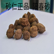Beijing Tongrentang Chinese herbal medicine Yangchun sand Amomum villosum has shell 100g