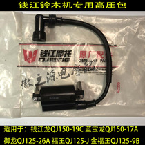 Qianjiang Blue Baolong QJ150-17A-19C Qianlong Yulong 125-26A igniter high voltage package coil