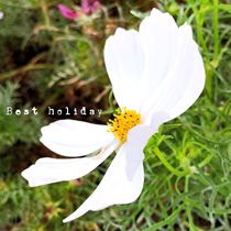 Make up the difference in shipping costs