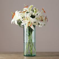 Gale Spain imported from Nordic minimalist long straight tube thickened glass decorative vase flower arrangement