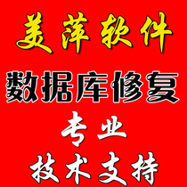 Meiping software database reinstallation repair SQL damage recovery error deletion error formatting error overwriting service