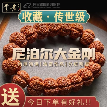 文玩 ルドラクシャ 五つ星蜂王金剛菩提腕輪 23mm 大玉 五星蜂王大金刚 文玩 ルドラクシャ 五つ星蜂王金剛菩提腕輪 23mm 大玉 五星蜂王