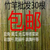 Bamboo Pole 1 fence fence outdoor courtyard pastoral green bean 2 performance site tie climbing costume rice bamboo rough dance