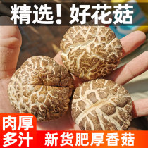 Dried Mushroom Mushroom 500g Farm Selected Wild Fresh Household Special Dried Mushroom Mushroom Specialty Dried Mushroom