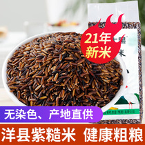 Zhou Daxai Shaanxi Yangxian New Black Purple Brown Rice Blood Glutinous Rice Farmers Five Cereals Coarse Cereals Coarse Grain Rice Porridge Rice 500g