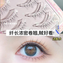 Daily vegetarian facial eyelash ~ month-baby Princess New Lady Makeup False Eyelash Grinding Tips transparent Soft Pussy Super Natural Emulation