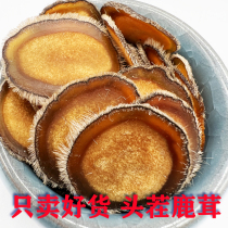 Plum Blossom Antler Pieces Half Wax Slices Antler slices whole branches Slices Antler Blood and Soaked Slices of Blister Water 10g