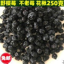 Daxinganling Wild Sakura Berry Not Old Berry Sorbus Fruit Dried 250g Black Fruit No Add Non-Blueberry Dried