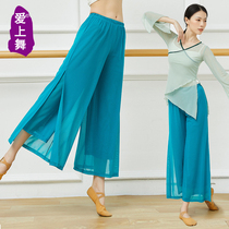 Previous incarnation of this life Classical dance suit female flutter Chinas ancient wines national broadlegged pants body rhyming utiliturgenics and womens work