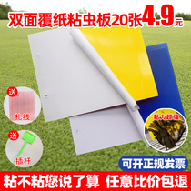 Armyworm board Yellow board double-sided insect trap board Blue board Small black flying stick flying insect paper Agricultural greenhouse thrip armyworm board
