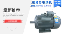 yl national standard motor 3 4 5 5 7 5kw220v2 level 2800 turn single-phase asynchronous electric motor factory direct sales
