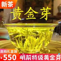 Anji white tea 2021 New Tea Gold Bud Ming pre Super Green Tea Spring Tea Gold Bud Tea 250g gift box