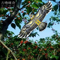 Bird faring bird Eagle Kite adult cartoon eagle kite pastoral kite factory direct sales volume from worry